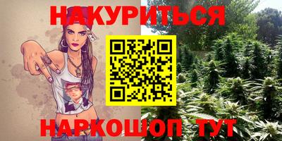 спиды Новозыбков