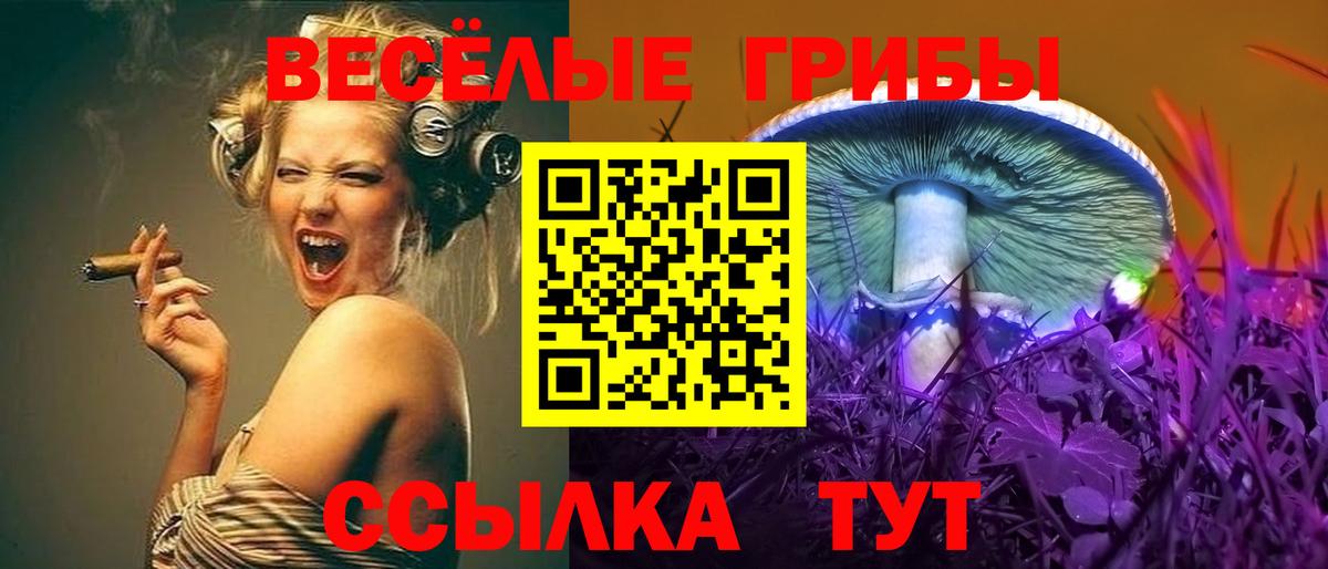 Уссурийск  Галлюциногенные грибы прущие грибы  продажа наркотиков  Вход с VPN 